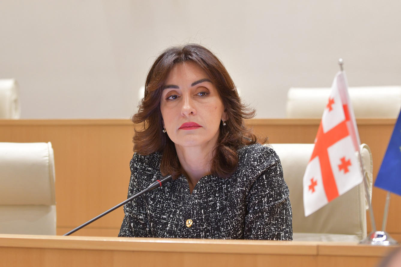 მაკა ბოჭორიშვილი - დღეს ქართული ოპოზიციური ფლანგი სრულად კოლექტიური „ნაცმოძრაობის“ მიერ არის მონოპოლიზებული, რომელმაც ქართველ ხალხს რეპრესიული მექანიზმებით მართვით დაამახსოვრა თავი