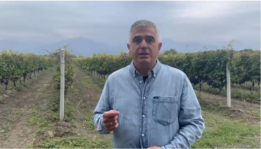 გიორგი ბოტკოველი - ბიძინა ივანიშვილსა და მის გარემოცვას ერთადერთი ინტერესი აქვთ - რაც კახეთში ყურძენი მოიწევა, აქციონ სპირტად და თვითონ იშოვონ მილიონები