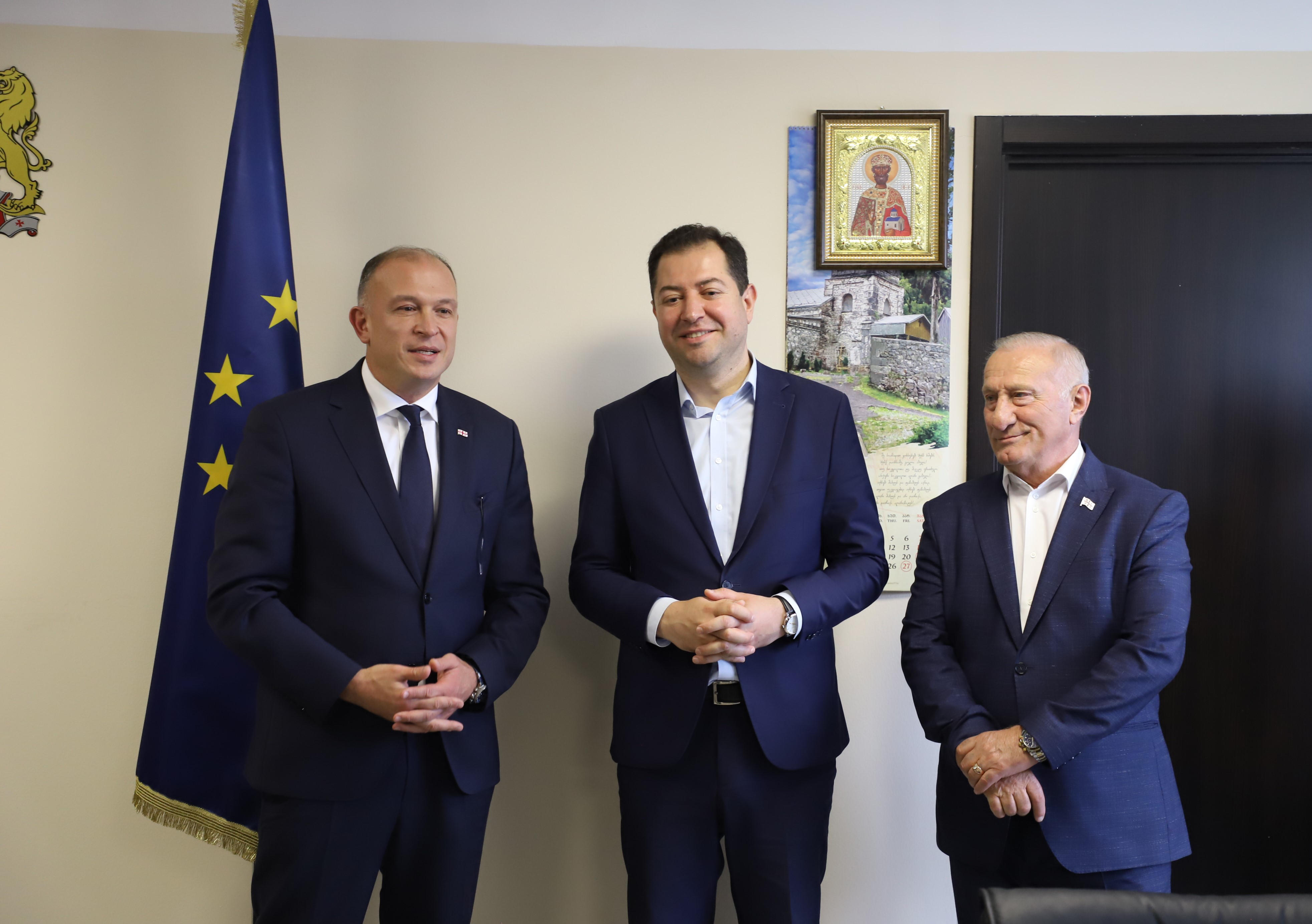 დავით ფაცაცია აფხაზეთის იძულებით გადაადგილებულ პირთა მინისტრად დაინიშნა