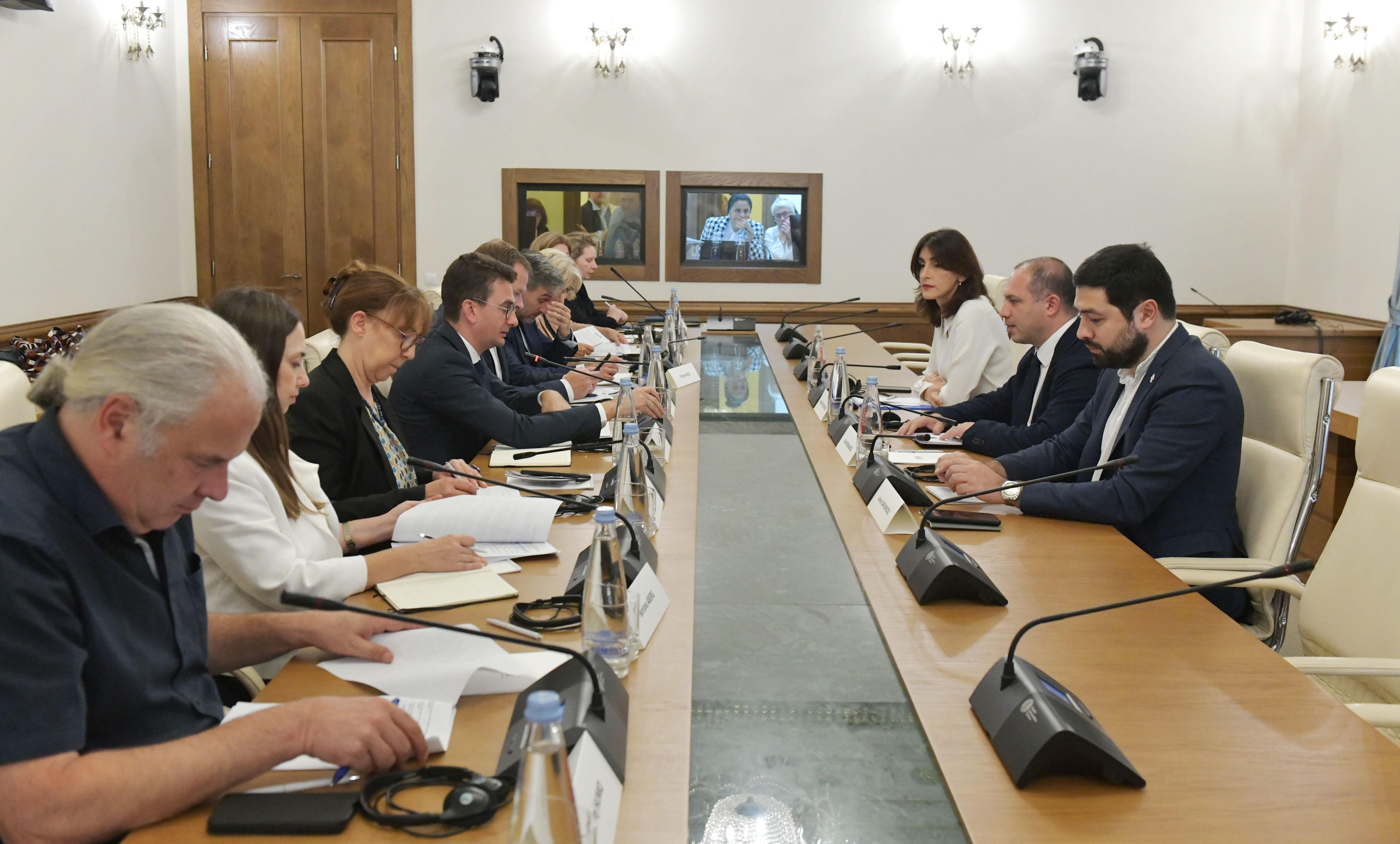 საპარლამენტო უმრავლესობის წარმომადგენლები ევროპის საბჭოს საპარლამენტო ასამბლეის წინასაარჩევნო სადამკვირვებლო მისიის წევრებს შეხვდნენ