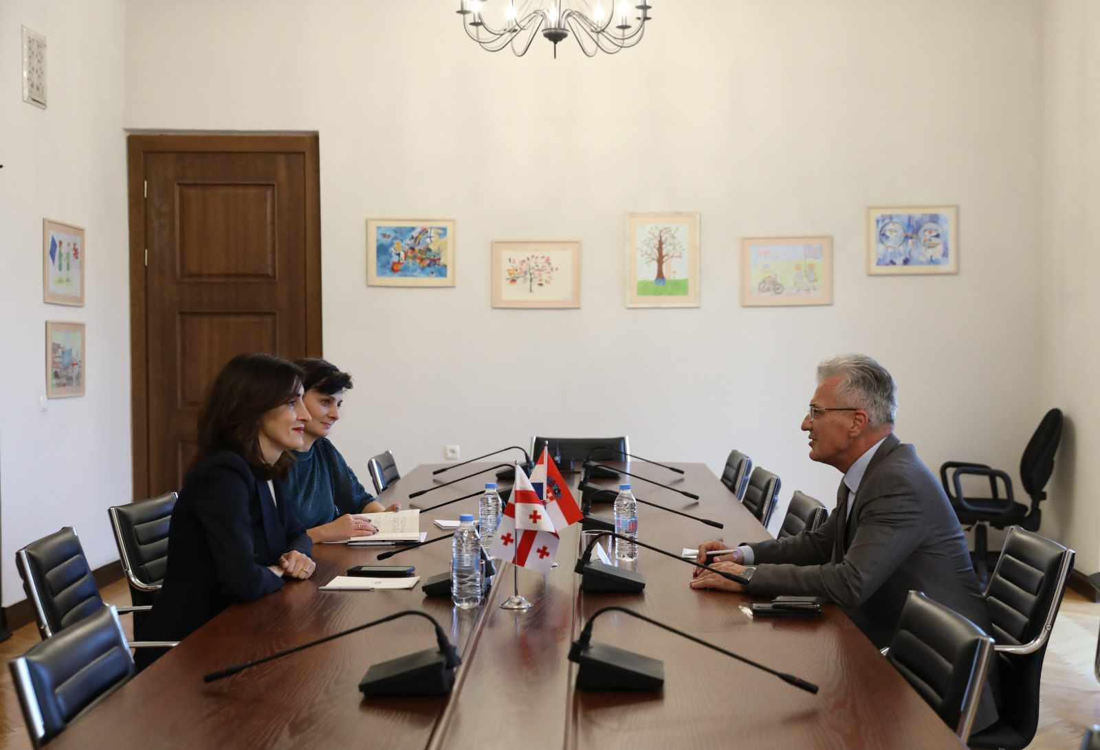 მაკა ბოჭორიშვილი საქართველოში ხორვატიის საგანგებო და სრულუფლებიან ელჩს შეხვდა