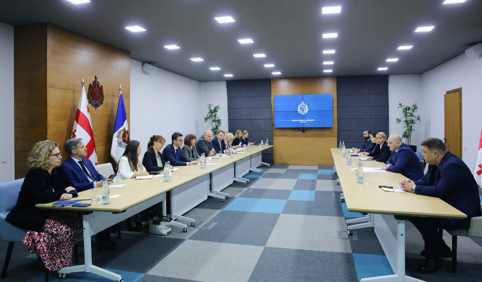 შინაგან საქმეთა მინისტრის მოადგილე ევროპის საბჭოს საპარლამენტო ასამბლეის წარმომადგენლებს შეხვდა
