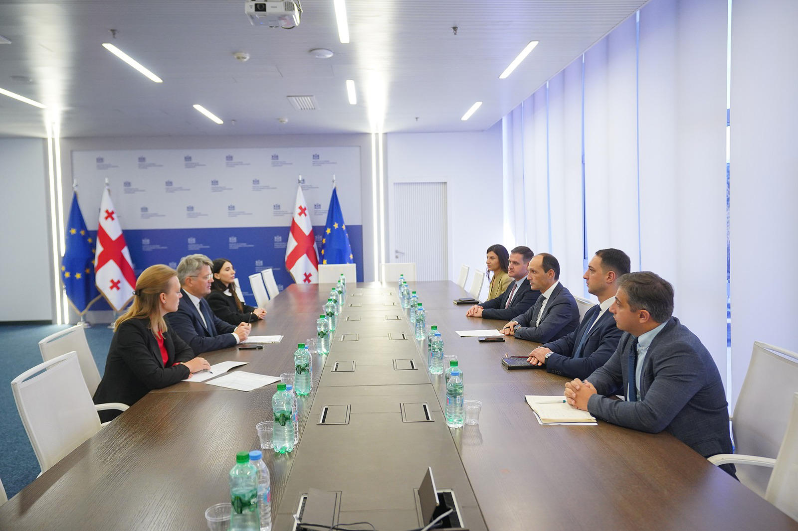 ლევან დავითაშვილი ევროპის ენერგეტიკული გაერთიანების დირექტორს არტურ ლორკოვსკის შეხვდა