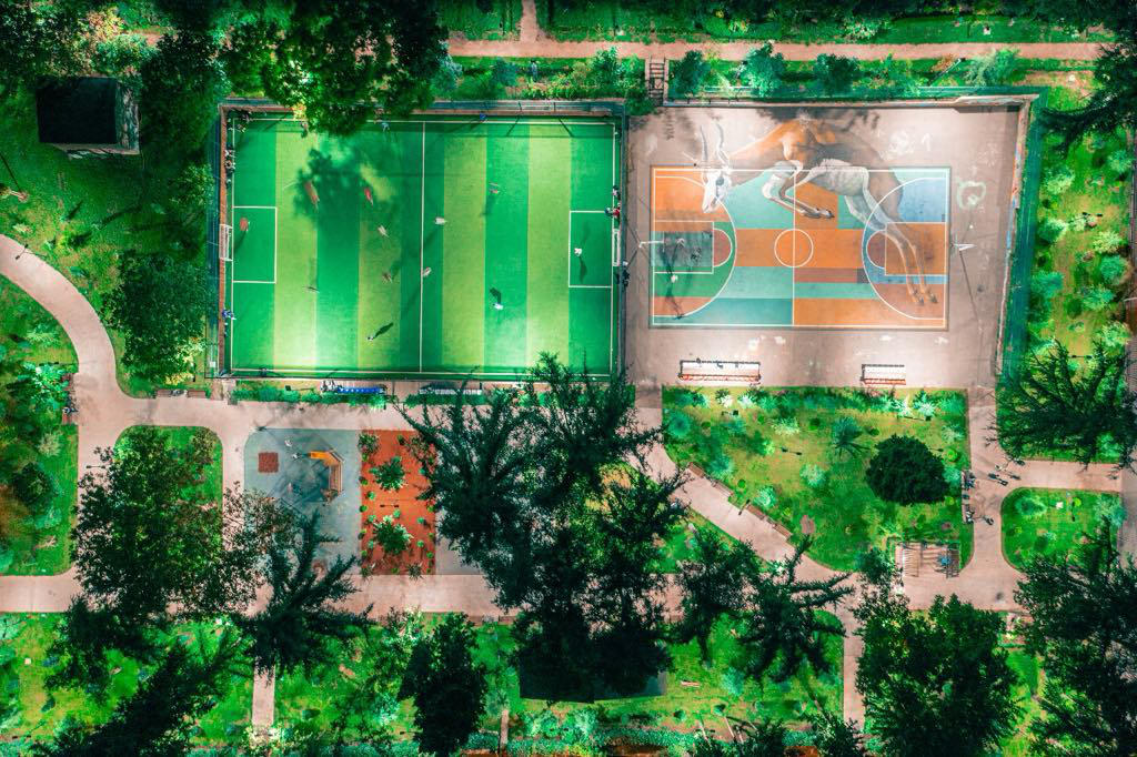 ციციშვილის პარკის რეაბილიტაცია დასრულდა