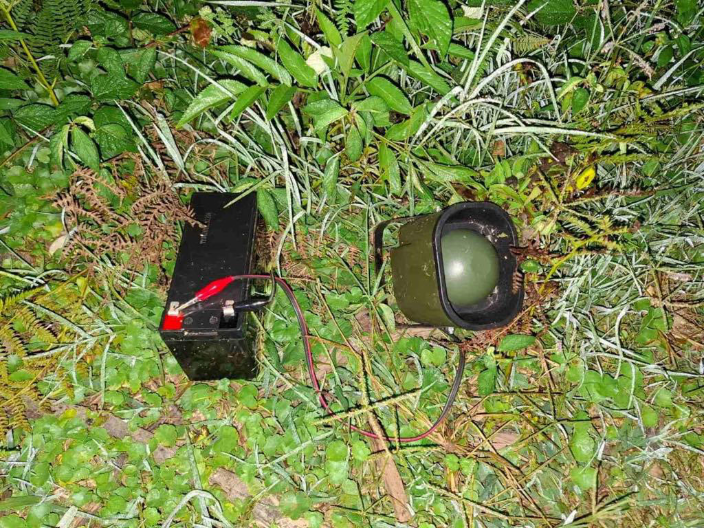 გადამფრენ ფრინველებზე ნადირობის სეზონის გახსნიდან 1 თვეში უკანონო ნადირობის 215 ფაქტია გამოვლენილი