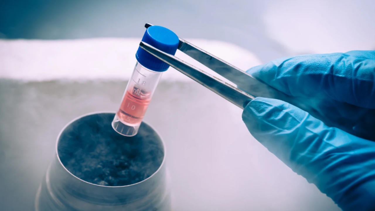 მერიის ჯანდაცვის სამსახურში განმარტავენ, რა პროცედურები უნდა გაიარონ მოხალისეებმა, რომ ღეროვანი უჯრედების დონორთა რეესტრში მოხვდნენ