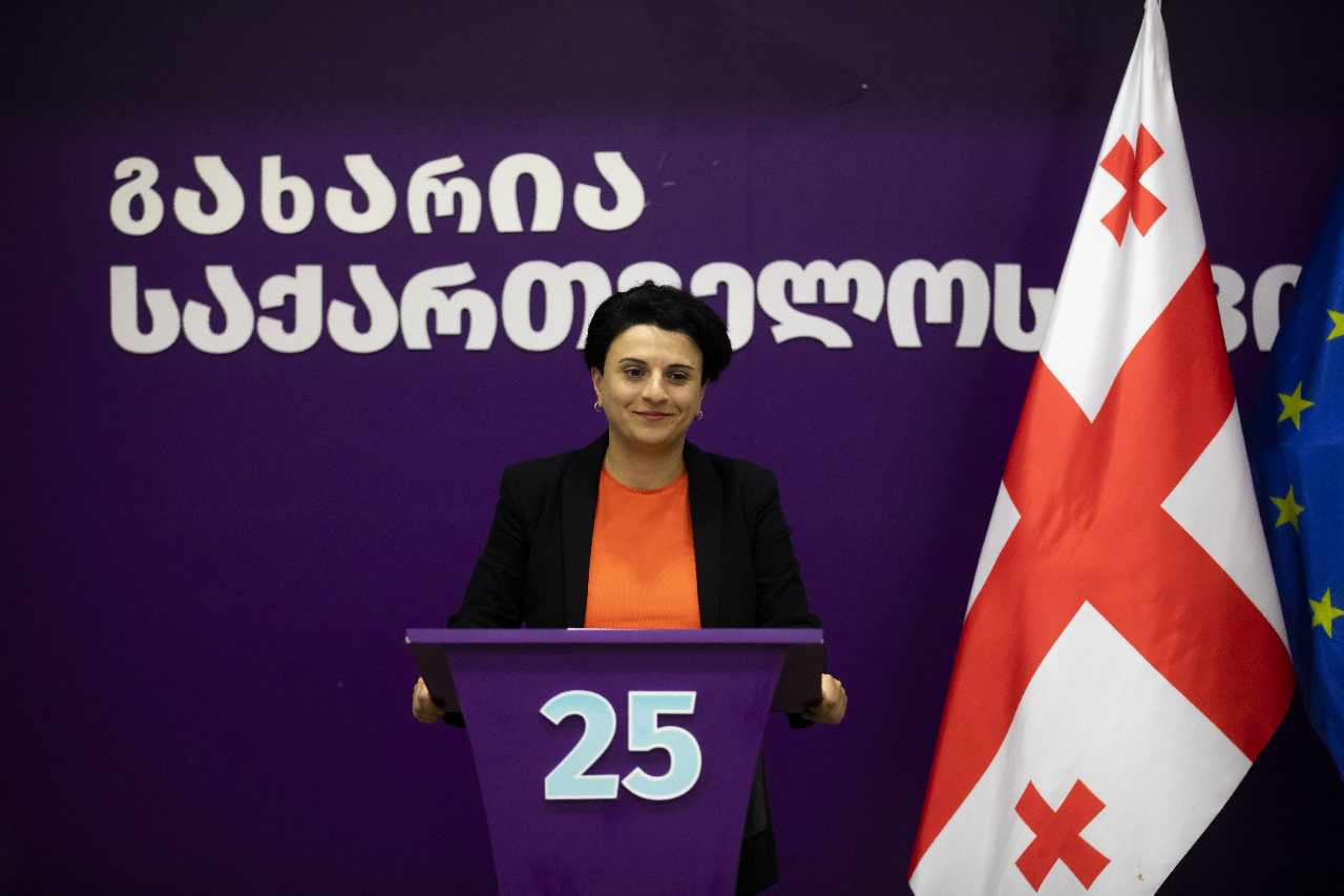ნათია მეზვრიშვილი - მოვუწოდებ პროკურატურას, დაინტერესდეს პრემიერის პოსტზე განმწესებული ადამიანის საქმიანობის კანონიერებით - უკვე მერამდენედ იკვეთება უფლებამოსილების გადამეტების ნიშნები