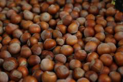 საქართველოდან მიმდინარე წელს 53.2 მლნ აშშ დოლარის ღირებულების თხილის ექსპორტი განხორციელდა