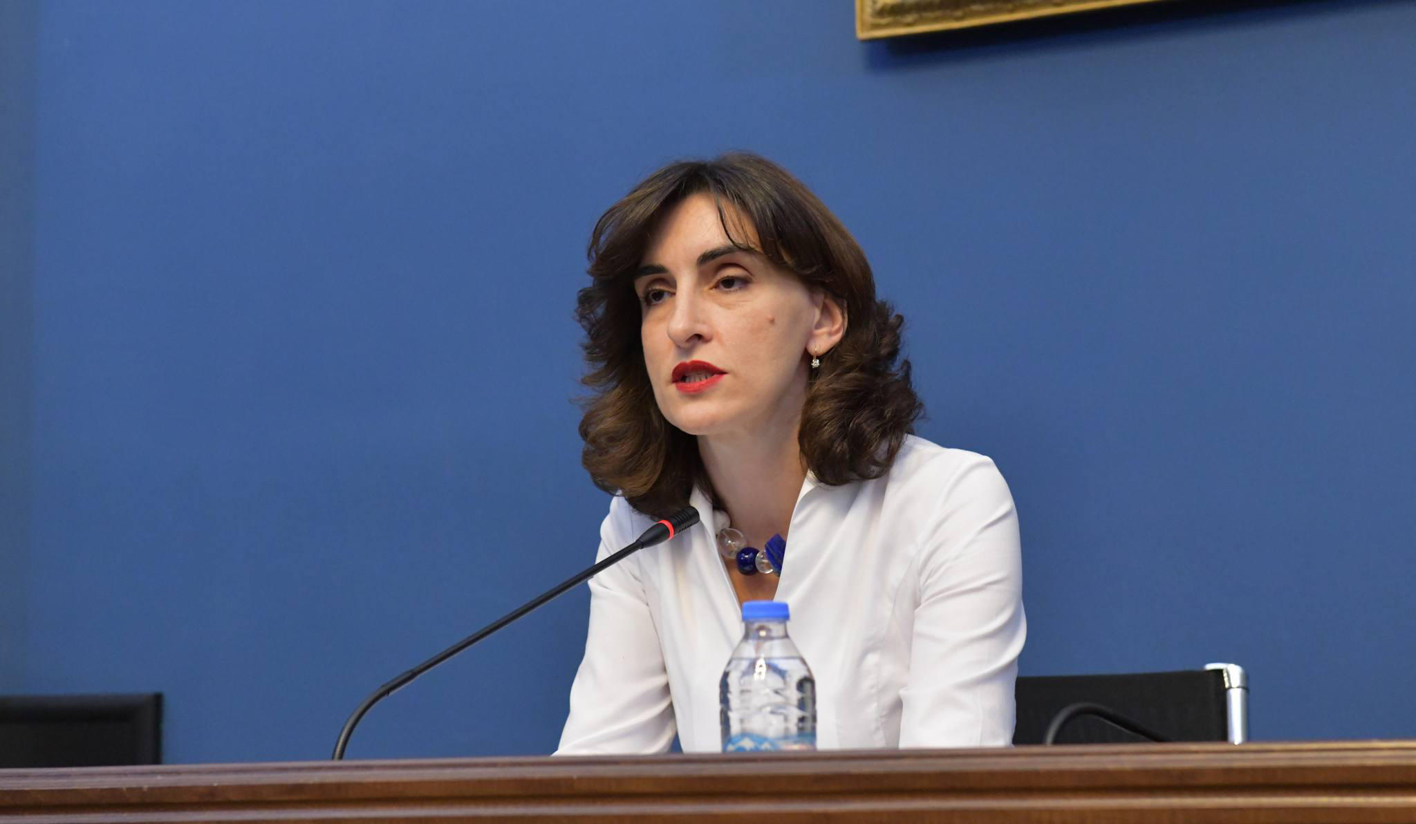 მაკა ბოჭორიშვილი - საქართველო განაგრძობს ევროინტეგრაციის შეუქცევად გზას - გამორჩეული პრიორიტეტი იქნება ნატოსა და ევროკავშირთან ურთიერთობები