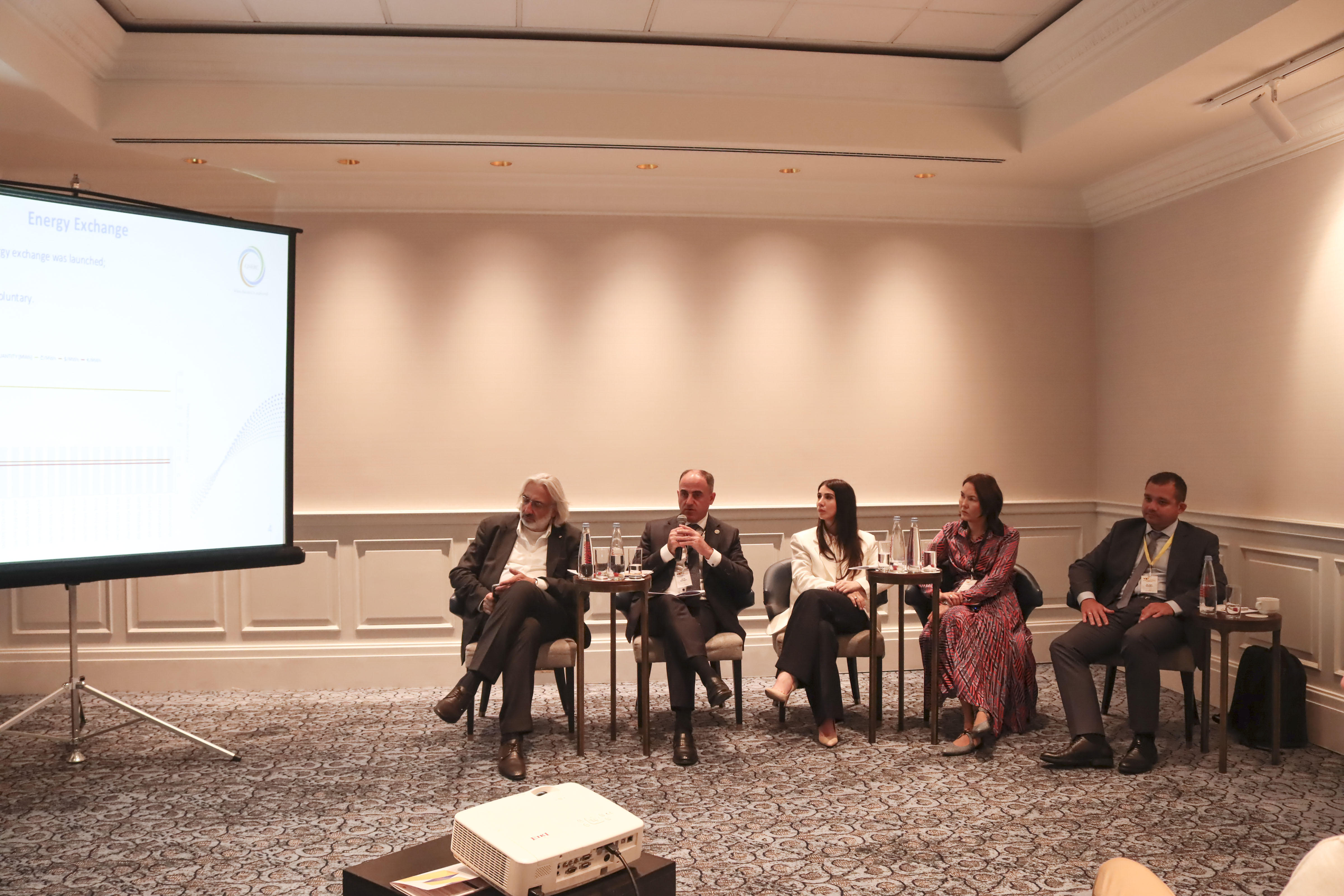 დავით ნარმანია ენერგეტიკის საკითხებისადმი მიძღვნილ ფორუმში მონაწილეობდა