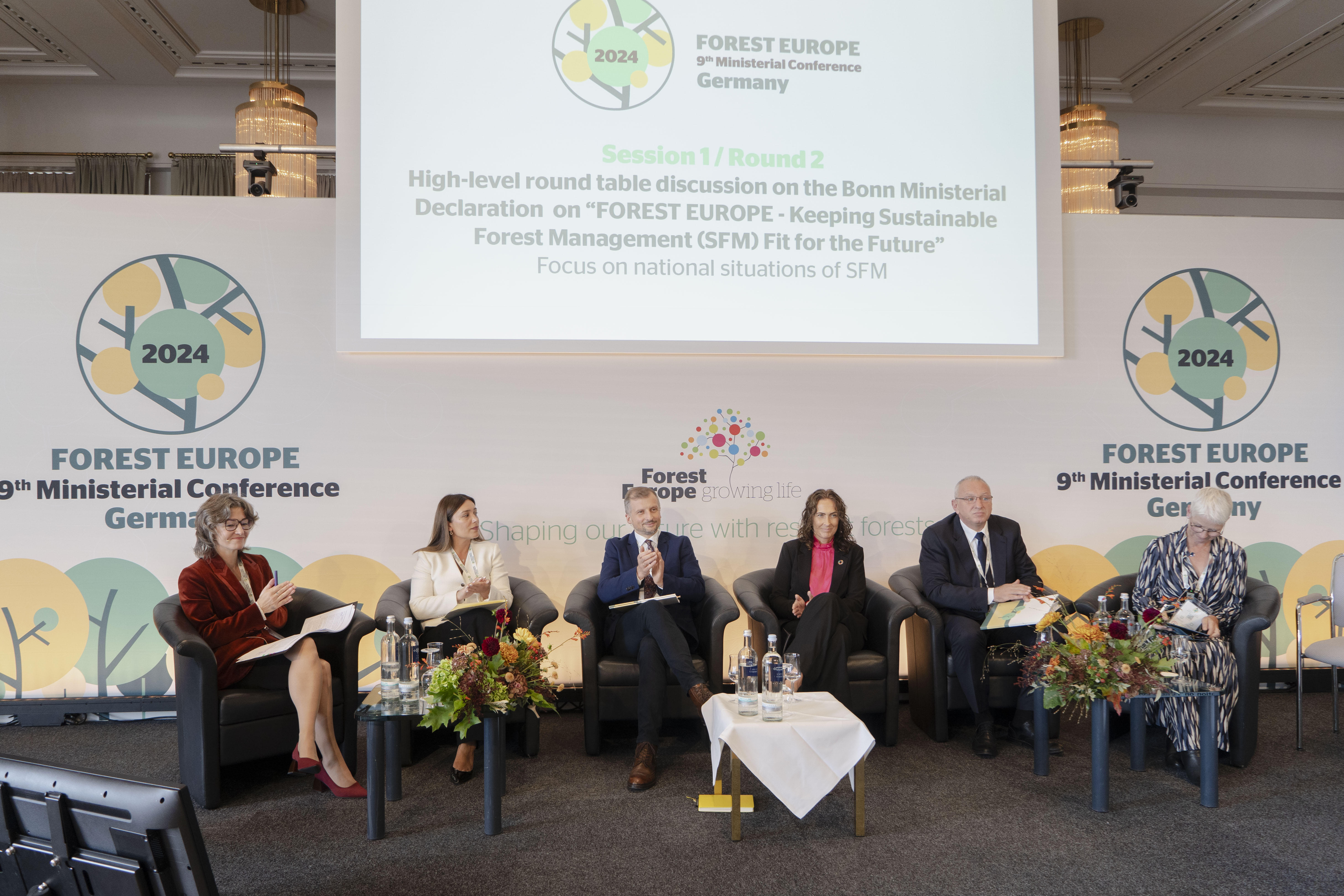 ნინო თანდილაშვილი - ბოლო 10 წლის განმავლობაში აღვადგინეთ 5000 ჰა ტყის ფართობი, 440 000 ჰა ტყის ტერიტორია, რომელიც ჩვენი ტყეების 14%-ს მოიცავს