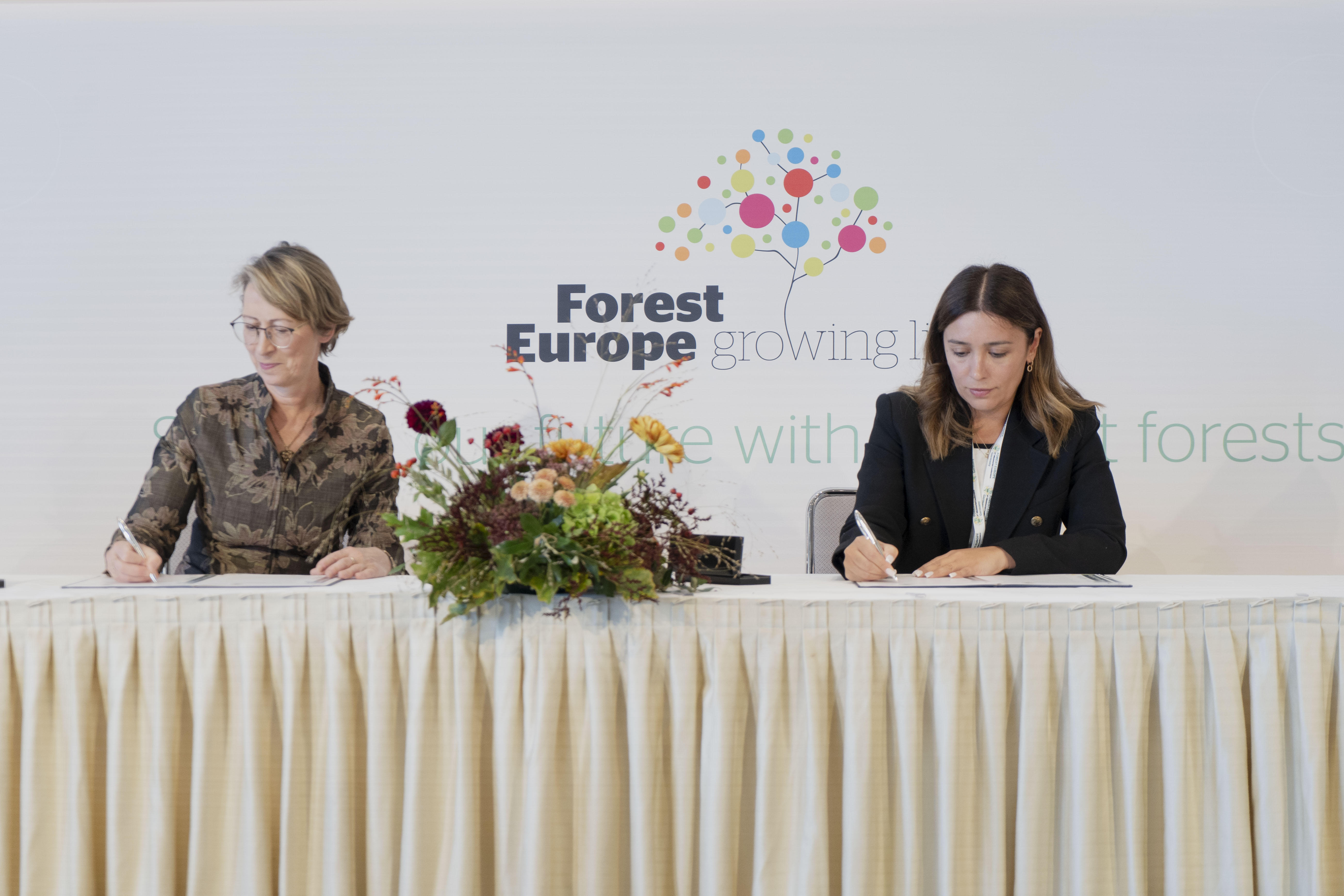 ნინო თანდილაშვილი - ევროპის წევრ სახელმწიფოებთან ერთად ხელი მოვაწერეთ დეკლარაციას, რომელიც მიზნად ისახავს ტყეების უკეთესად მართვას და ტყის მდგრადი მართვის პრინციპების პრაქტიკაში განხორციელებას