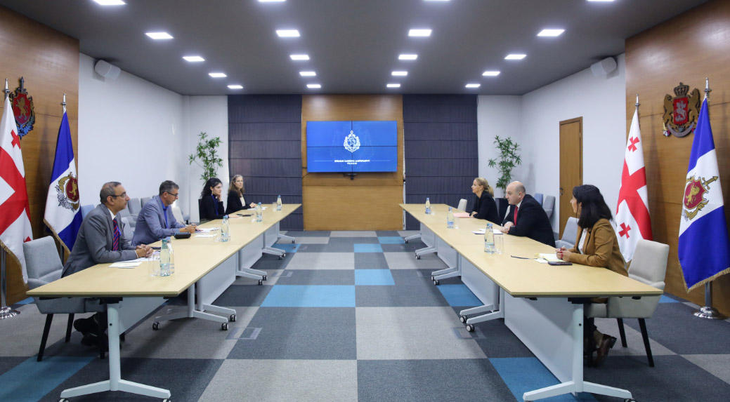 შს მინისტრის მოადგილე NDI-ის სადამკვირვებლო მისიის წარმომადგენლებს შეხვდა