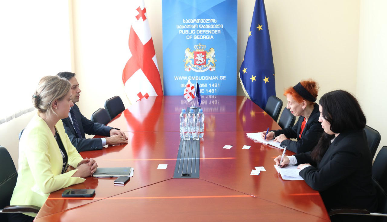სახალხო დამცველი და მისი მოადგილე ეროვნულ-დემოკრატიული ინსტიტუტის (NDI) ანალიტიკოსს შეხვდნენ