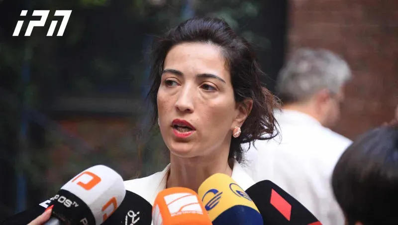 Nino Dolidze on the decision of the Constitutional Court: perhaps we even expected this - we will definitely continue the fight against the Russian law