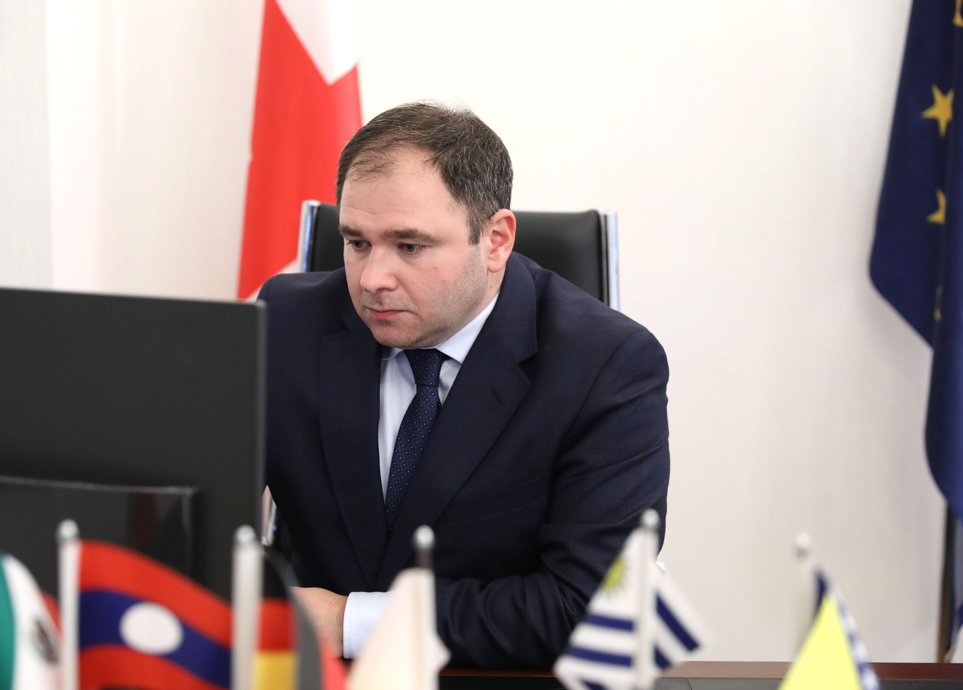 იტალიის პარლამენტის საგარეო საქმეთა კომიტეტში ნიკოლოზ სამხარაძის ონლაინ მოსმენა გაიმართა