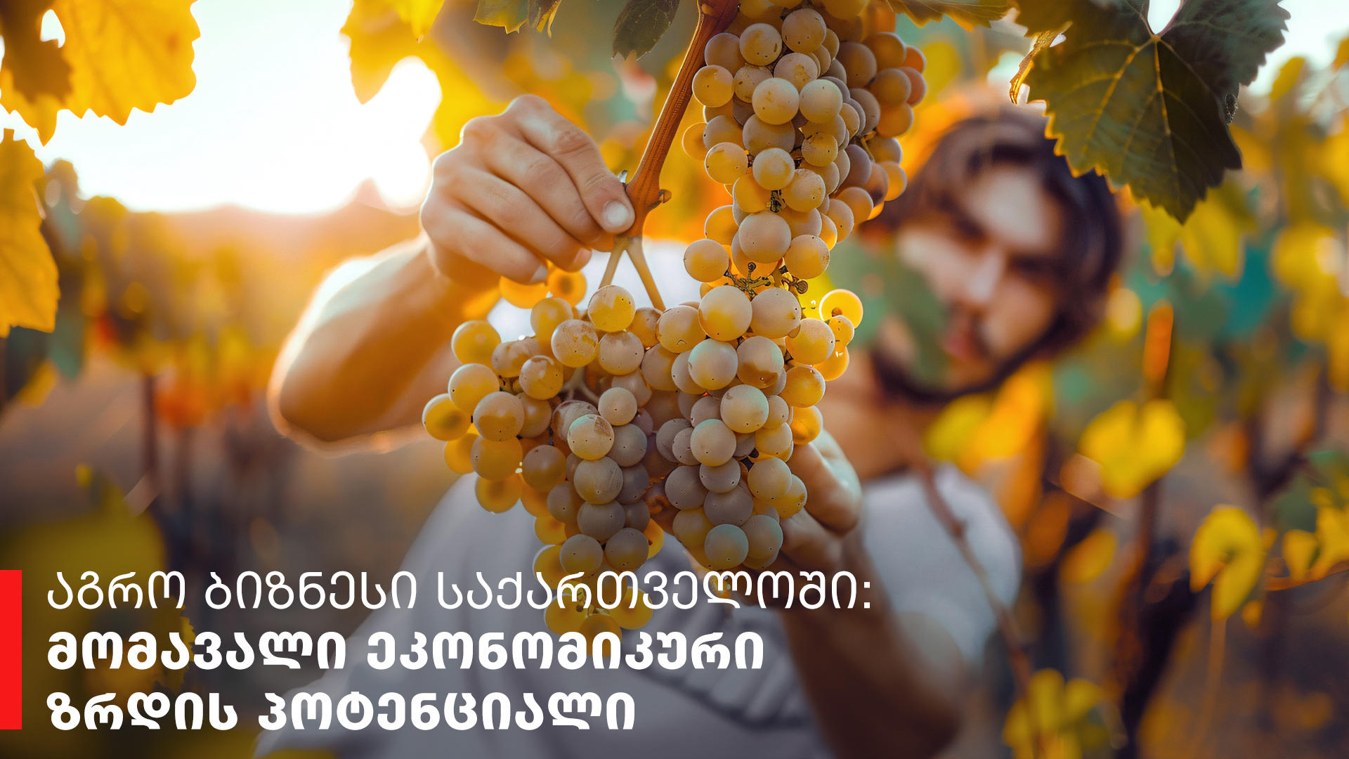 აგრო ბიზნესი საქართველოში: მომავალი ეკონომიკური ზრდის პოტენციალი
