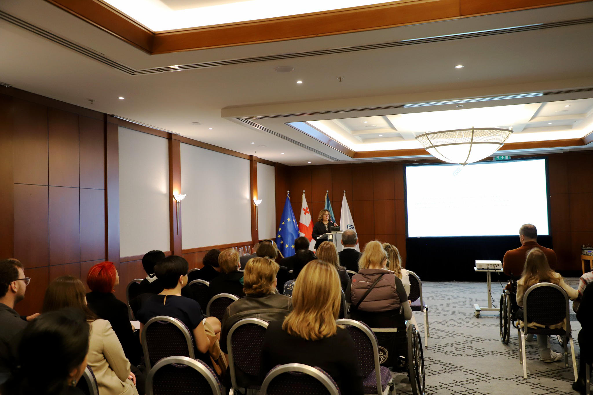 პერსონალურ მონაცემთა დაცვის სამსახურმა შეზღუდული შესაძლებლობების მქონე პირთა უფლებების საკითხებზე მომუშავე ორგანიზაციებთან შეხვედრა გამართა