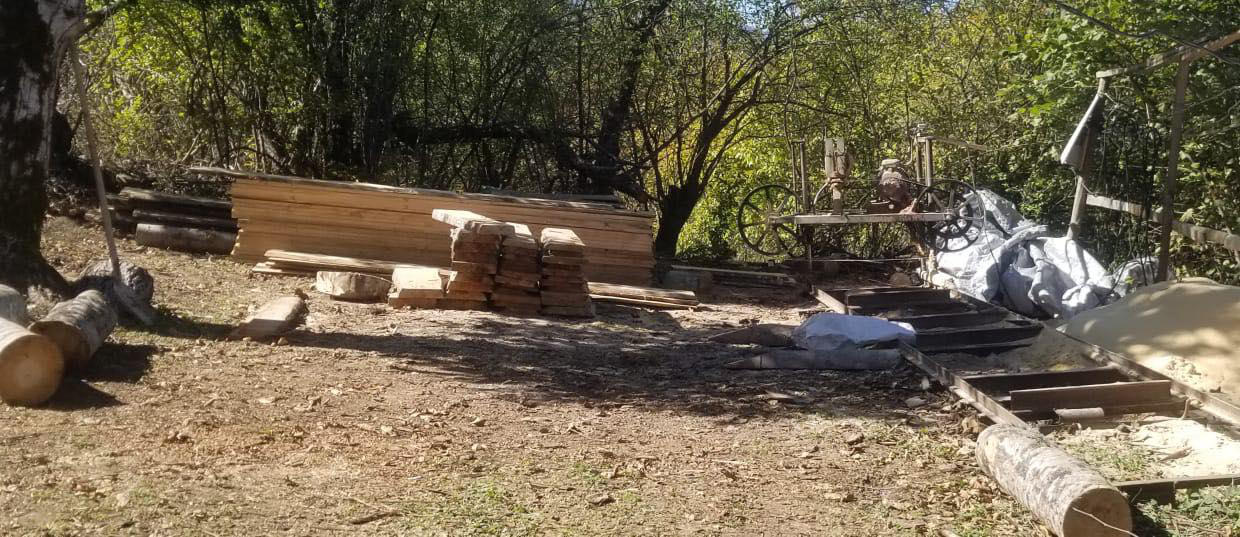 გარემოსდაცვითი ზედამხედველობის დეპარტამენტის თანამშრომლებმა შიდა ქართლში უკანონო სახერხი საამქრო გამოავლინეს