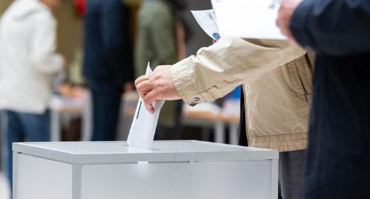 ლიეტუვის საპარლამენტო არჩევნებში "სოციალ-დემოკრატები" ლიდერობენ