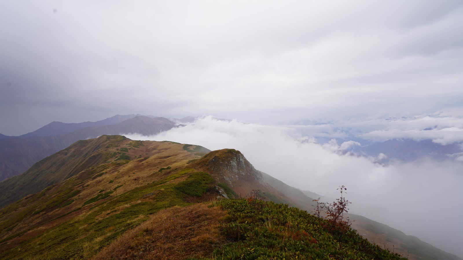 ლენტეხში ერთ-ერთ მწვერვალს საქართველოს ეროვნული გმირის - ალეკო ონიანის სახელი მიენიჭა
