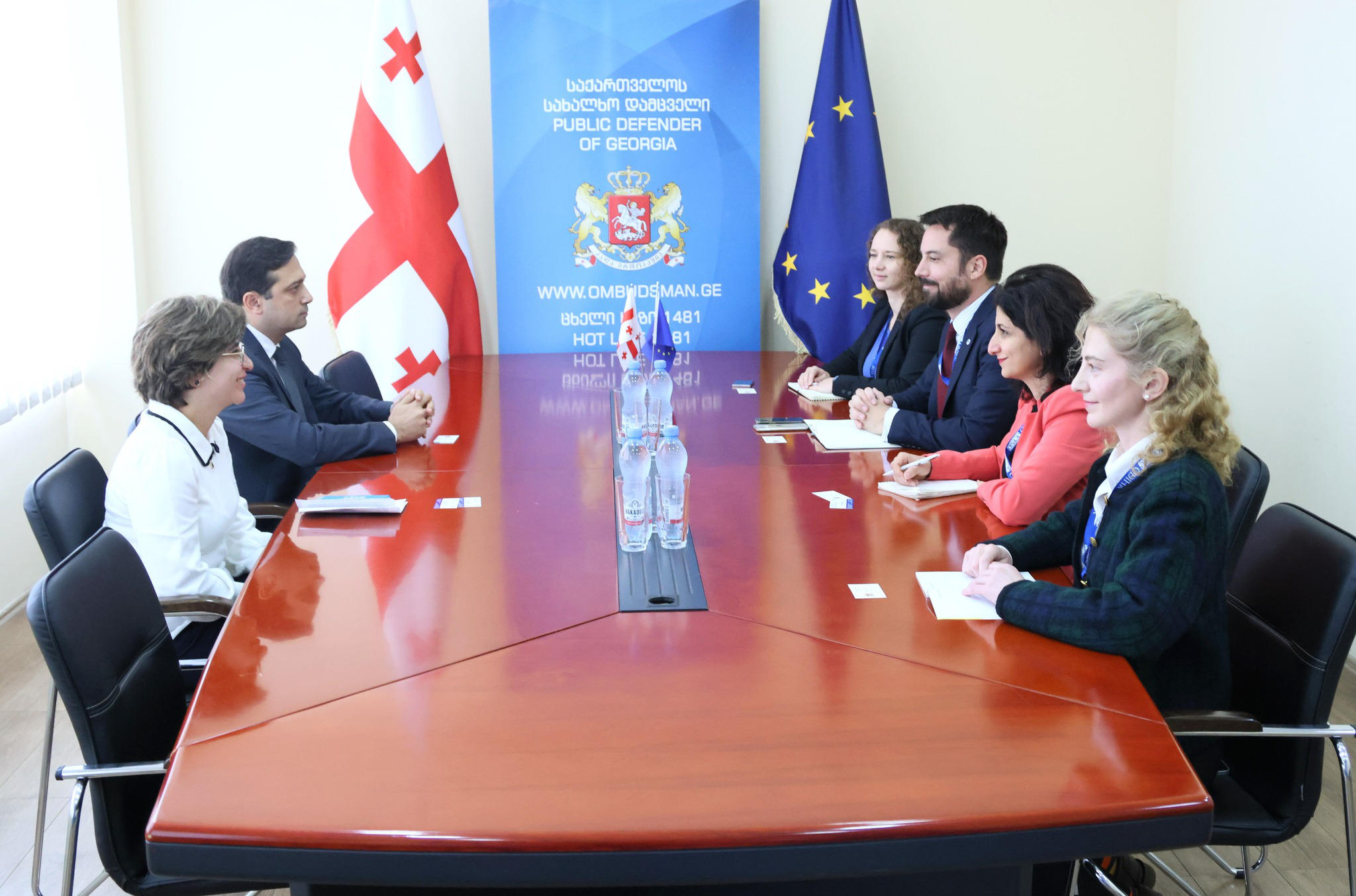 სახალხო დამცველი ეუთო/ოდირის სადამკვირვებლო მისიის ხელმძღვანელსა და მისიის წარმომადგენლებს შეხვდა