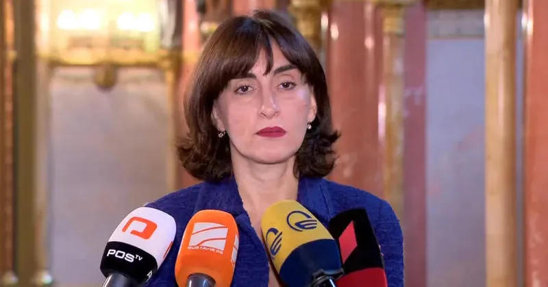 Maka Bochorishvili on the statement of the Helsinki Commission: these statements are needed for journalists to come, ask questions and create a political agenda - it is not serious when there are references to authoritarianism