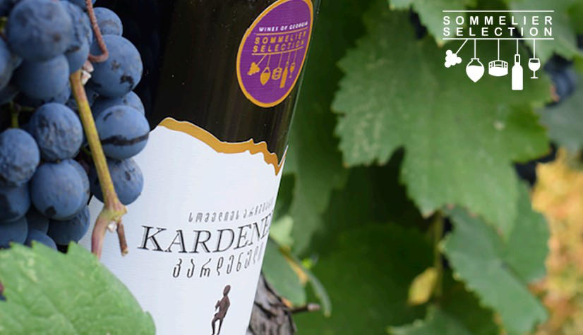 კარდენელი ღვინოები: გემოების სიმფონია, ადგილობრივი და გლობალური აღიარება