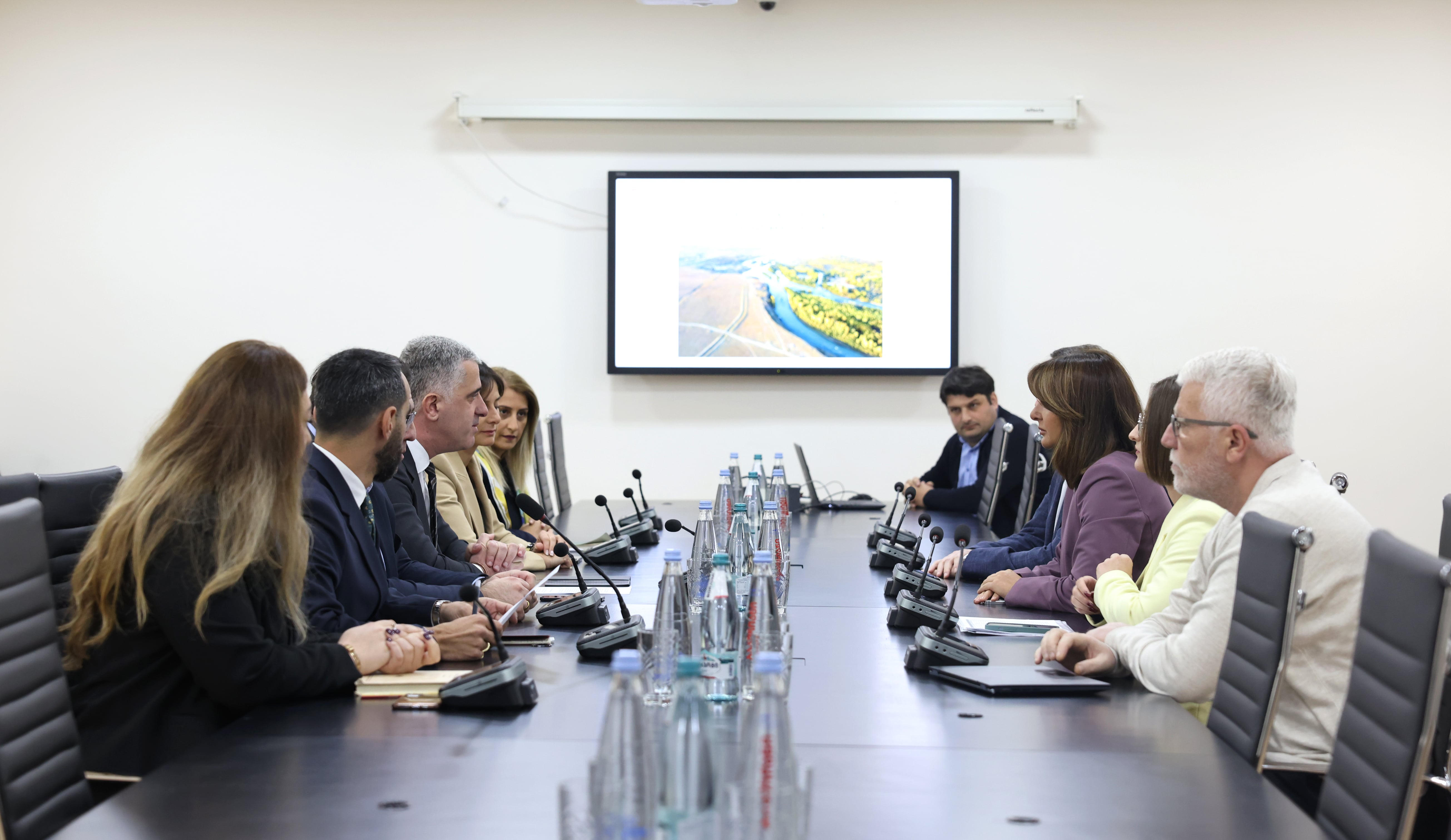 რუსთავის ჭალის ტყის აღდგენა-გაშენების მასშტაბური პროექტის განხორციელება იწყება