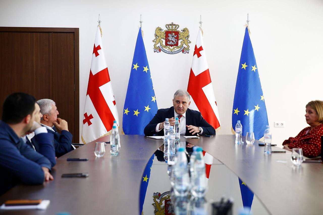მიხეილ სარჯველაძე ჯანდაცვის ასოციაციის წევრებს შეხვდა