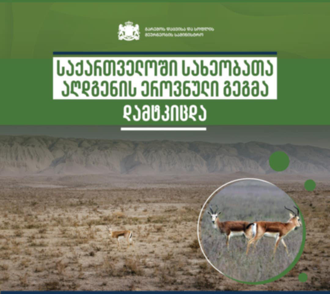 საქართველოში სახეობათა აღდგენის ეროვნული გეგმა დამტკიცდა