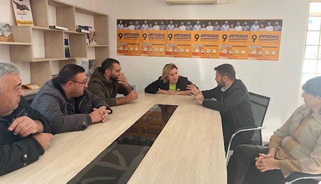 ანა დოლიძე - „ქართულმა ოცნებამ“ მარნეულში ყველაფერი იკადრა