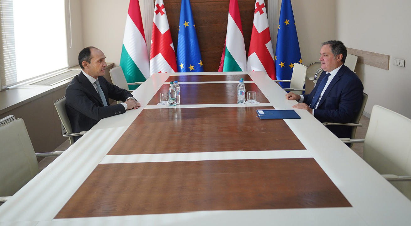 ლევან დავითაშვილმა უნგრელ კოლეგასთან ქვეყნებს შორის სავაჭრო-ეკონომიკური ურთიერთობების გაღრმავების საკითხები განიხილა