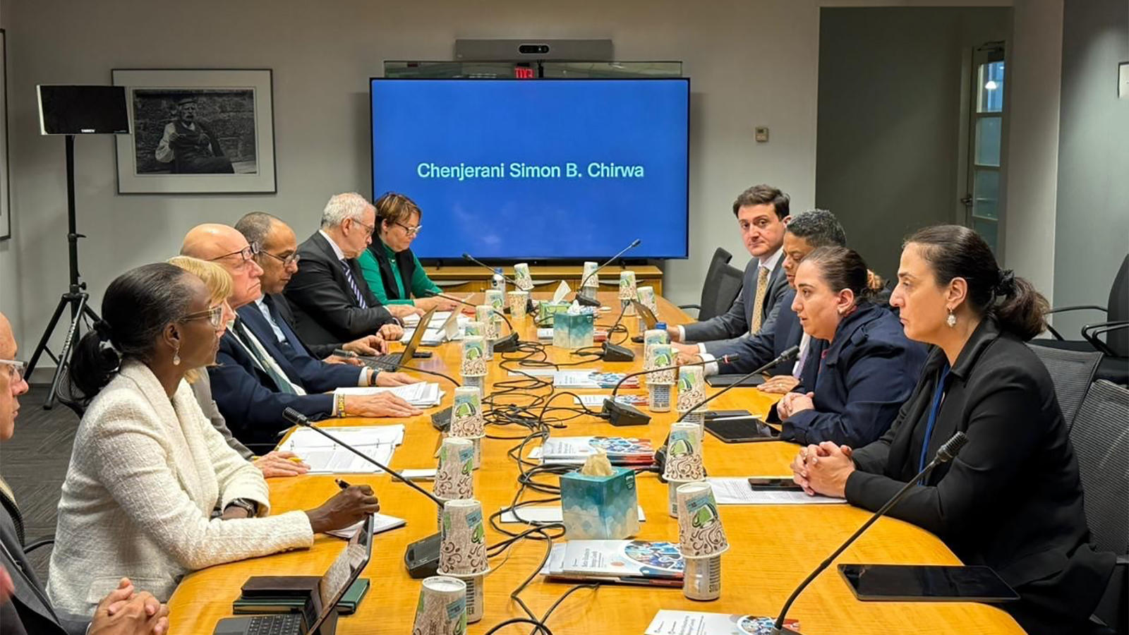 ეკატერინე მიქაბაძემ სსფ-სა და მსოფლიო ბანკის ყოველწლიურ შეხვედრებში მიიღო მონაწილეობა