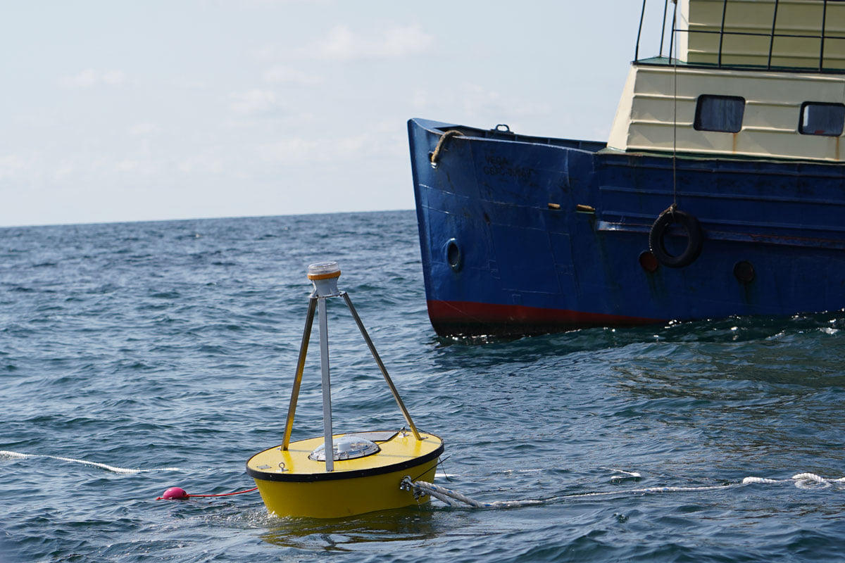 31 ოქტომბერი შავი ზღვის დაცვის საერთაშორისო დღეა