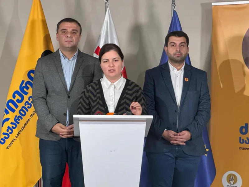 Ana Natsvlishvili: "Strong Georgia" filed a complaint with 73 district commissions with a request to make public the lists loaded in the verification machines and the so-called check lists - the requests were not fully met