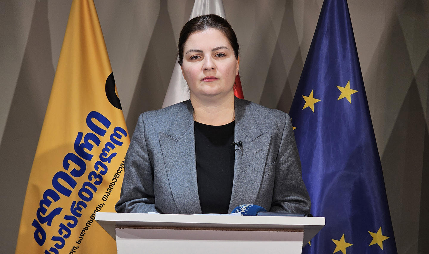 ანა ნაცვლიშვილი - არ დავტოვებთ არცერთ საერთაშორისო მექანიზმს, საერთაშორისო სასამართლოებს, სადაც არ წავიღებთ დაზარალებულების სახელით საქმეებს, რათა თითოეულმა მოძალადემ უმკაცრესად აგოს პასუხი