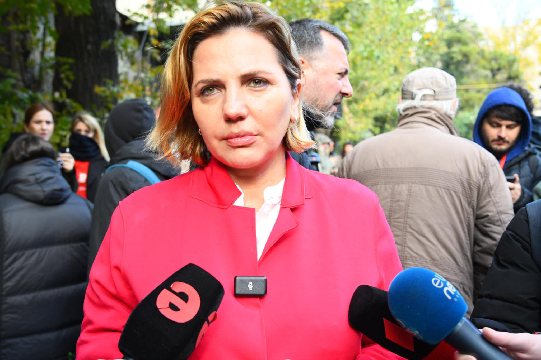 ანა დოლიძე - ჩვენი არჩევნების მიტაცება ფორმდება