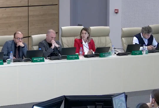 ანა კობახიძე - შედეგების შეჯამების მომენტში ჩანს, რა იყო ცესკო-ს სურვილი, რომ რაც შეიძლება ნაკლებ უბანზე ნაკლებ ადამიანს ჰქონოდა შესაძლებლობა ხმა მიეცა