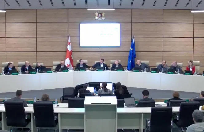 Complaints are considered in the CEC in the background of noise