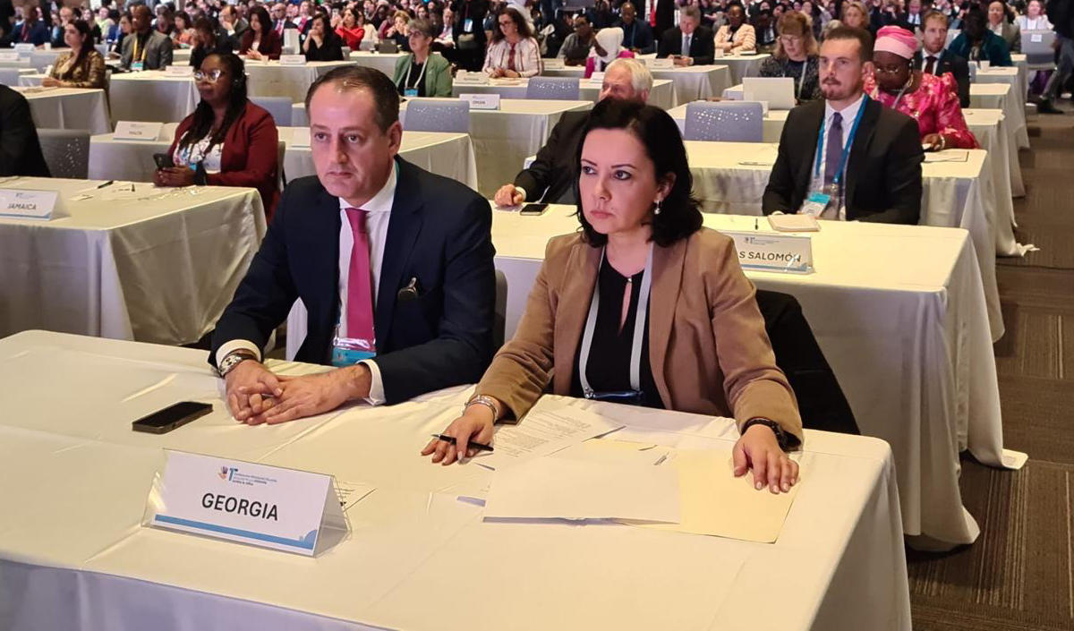 ირინე წაქაძე ბავშვთა მიმართ ძალადობის დასრულების მიზნით გამართულ საერთაშორისო კონფერენციაში მონაწილეობდა