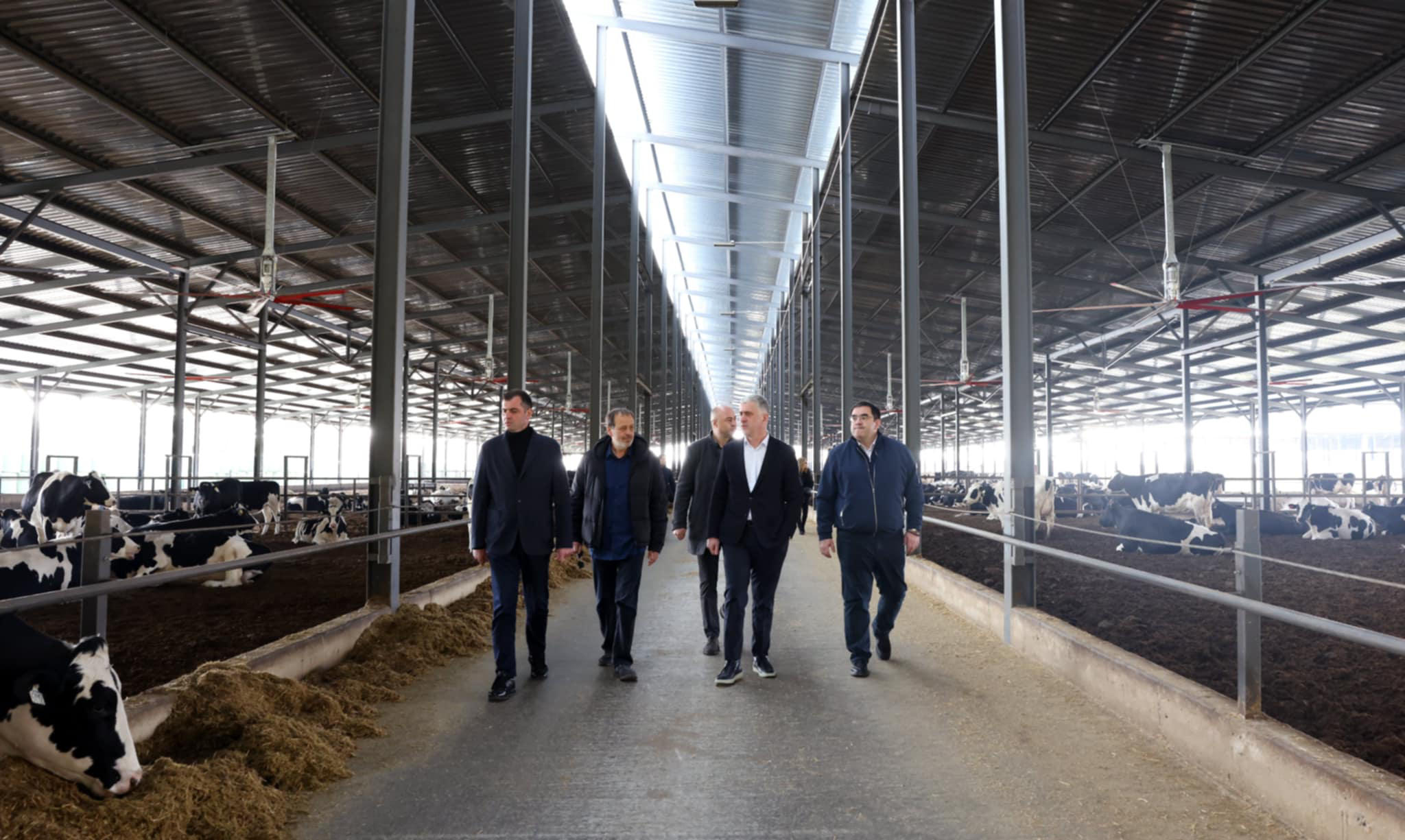 ოთარ შამუგიამ მსხვილფეხა საქონლის ფერმერული მეურნეობა დაათვალიერა