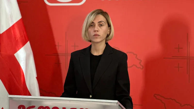 Ana Tsitlidze: All four parties have said that they will not enter the parliament - therefore, who and when will write the statement, one day earlier or one day later, it is not important