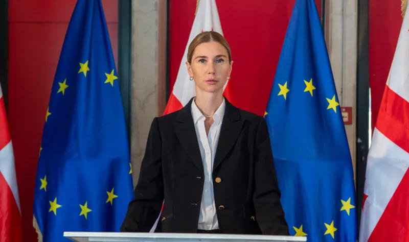 According to Tina Bokuchava, she will meet the ministers of foreign affairs of the EU countries in Brussels