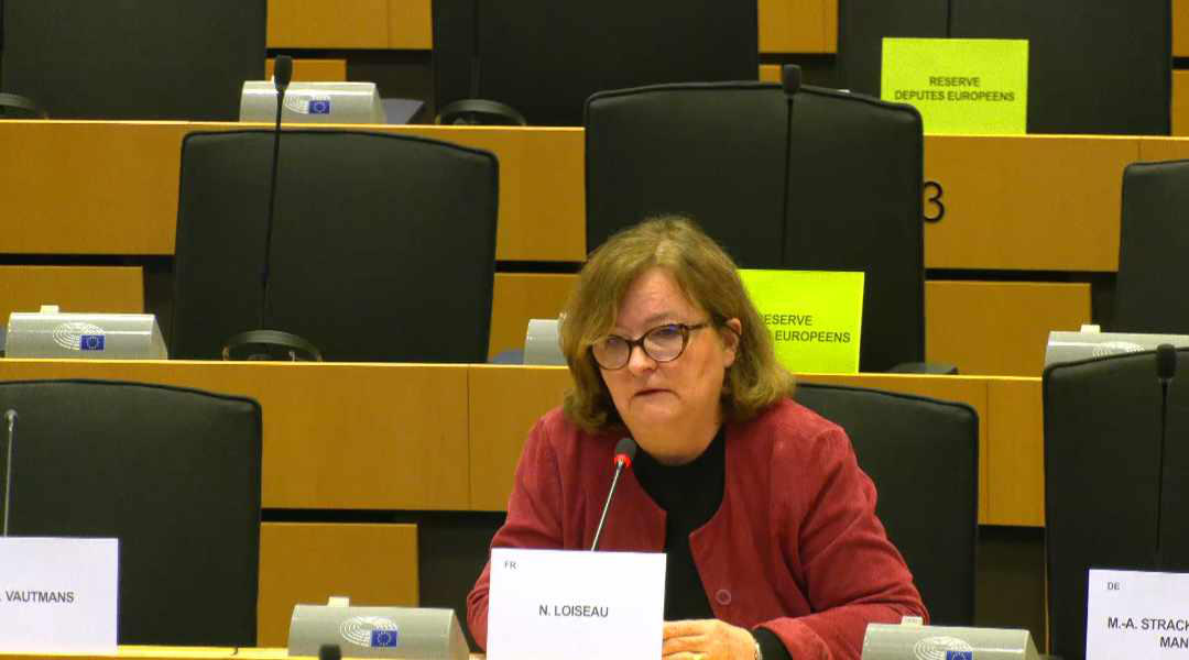 ნატალი ლუაზო - არ შეიძლება იმის თქმა, რომ საქართველოში თავისუფალი და სამართლიანი არჩევნები იყო - ევროპული პასუხი გვჭირდება