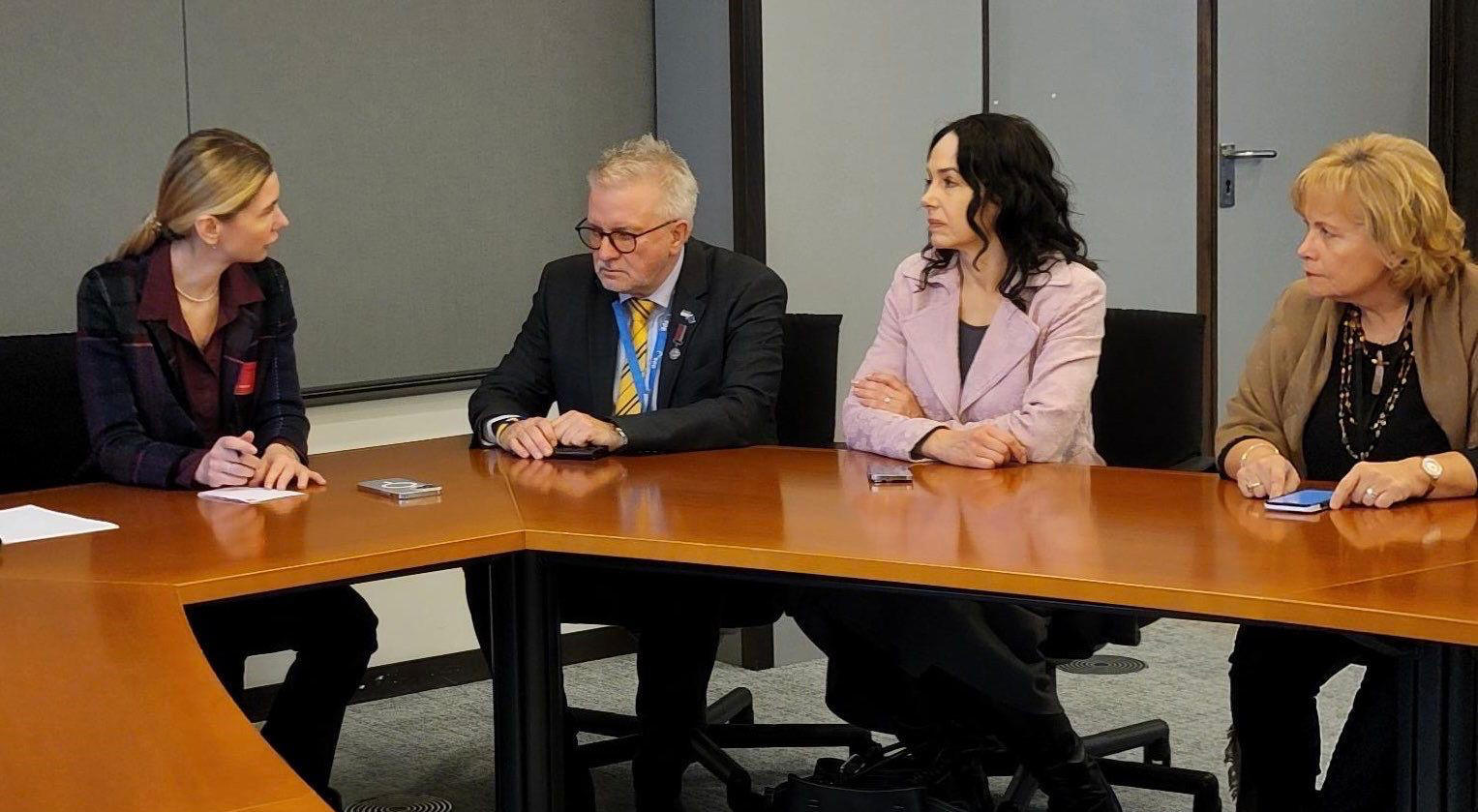 თინა ბოკუჩავა - მომავალ კვირას ევროპარლამენტი რეზოლუციას მიიღებს, რომელშიც არჩევნების არაღიარებასა და გამოძიების მნიშვნელობაზე იქნება საუბარი - გადაწყვეტილება გამოძიებასთან დაკავშირებით უკვე მიღებულია