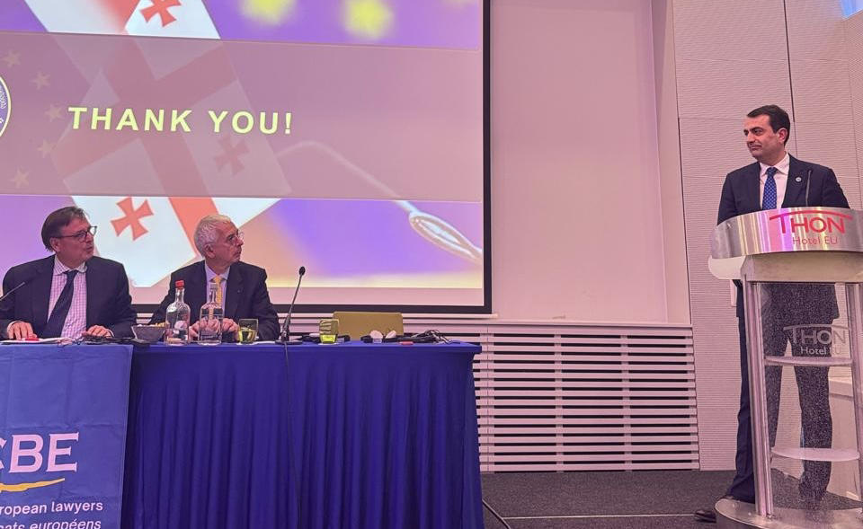 ქართული ადვოკატურის წინსვლა ევროპულ გზაზე გრძელდება