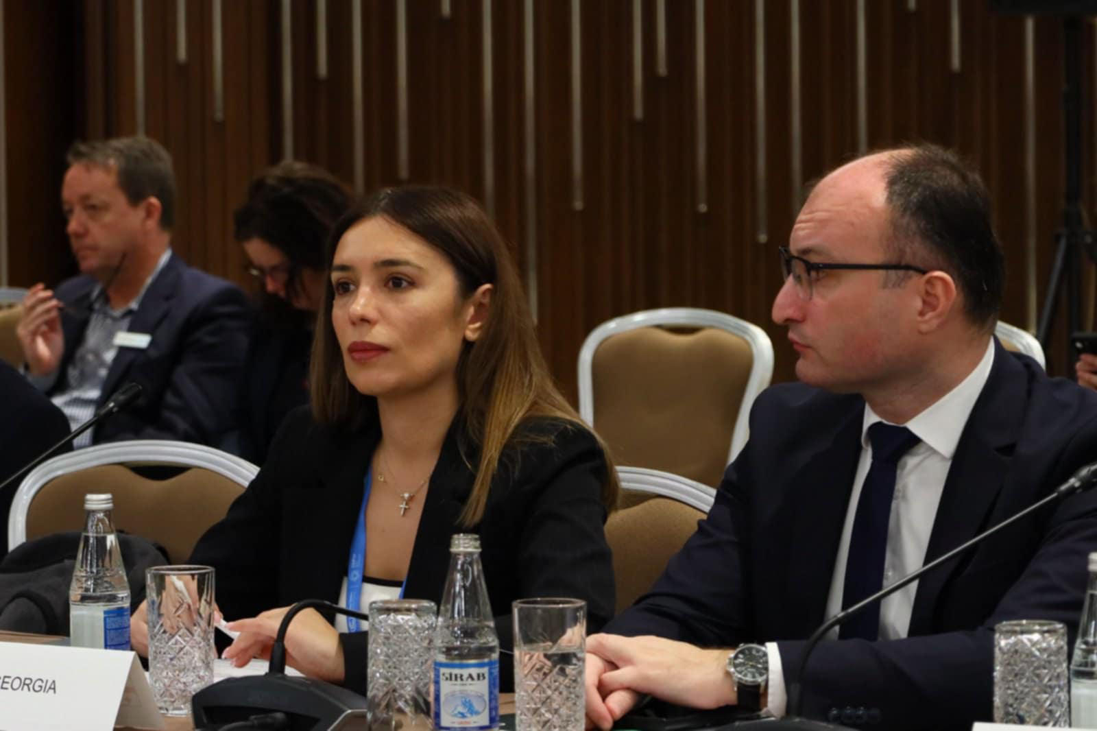 ნინო თანდილაშვილი ბაქოში გამართულ მინისტერიალზე სიტყვით გამოვიდა