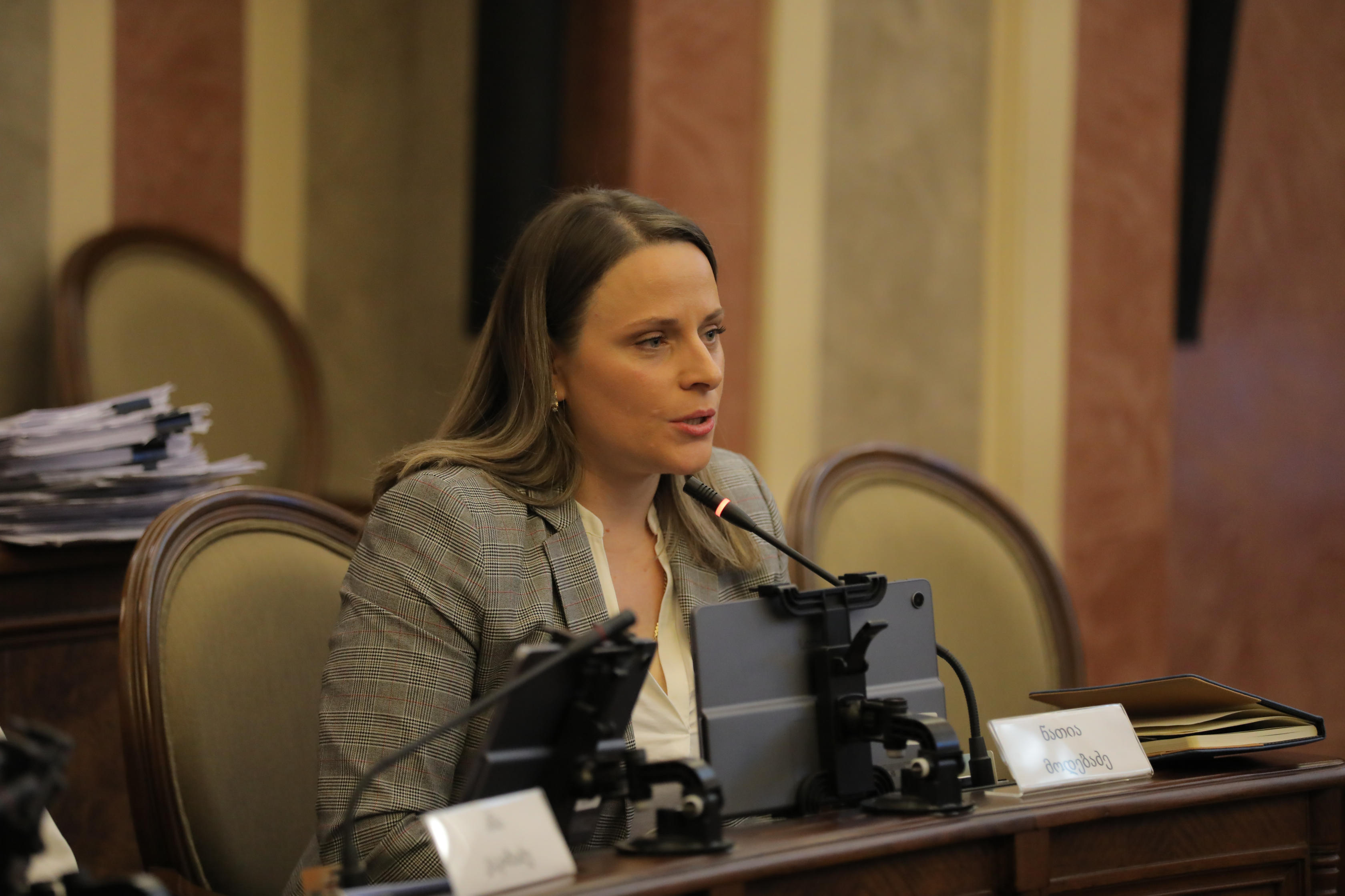 ნათია მოდებაძე - ოპოზიცია წინასაარჩევნოდ ამბობდა, რომ გამორიცხული იყო ტექნოლოგიებით ჩატარებული არჩევნების გაყალბება. დღეს კი აქციებს აწყობს, რომ არჩევნები გაყალბდა და ხმები მოიპარეს