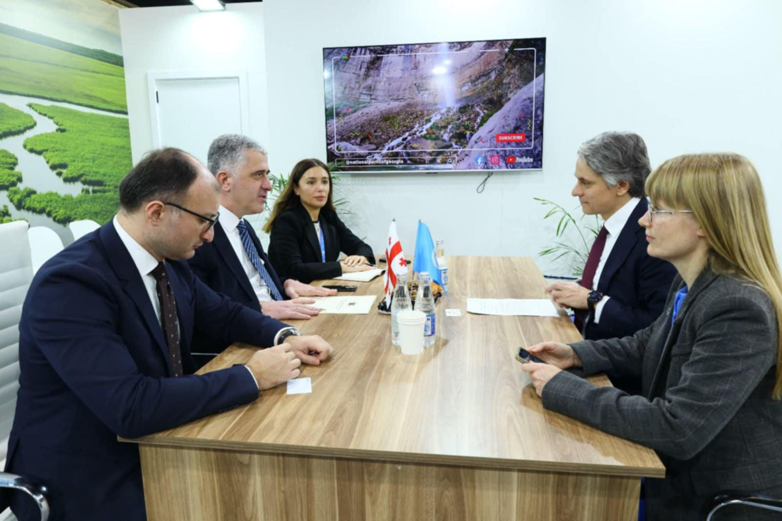 გაერო-ს ევროპის ეკონომიკური კომისიის დირექტორის მოადგილე - საქართველო გარემოსდაცვითი ვალდებულებების შესრულების კუთხით ერთ-ერთი მოწინავე და აქტიური ქვეყანაა